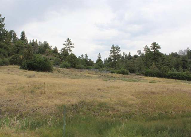 Property at 121 Elbert Pl, Pagosa Springs, CO 81147