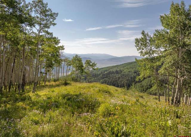 Property at 465 Oversteeg Gulch Rd, Crested Butte, CO 81224