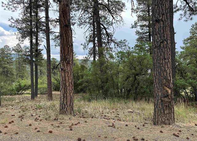 Property at 350 Harman Ave, Pagosa Springs, CO 81147
