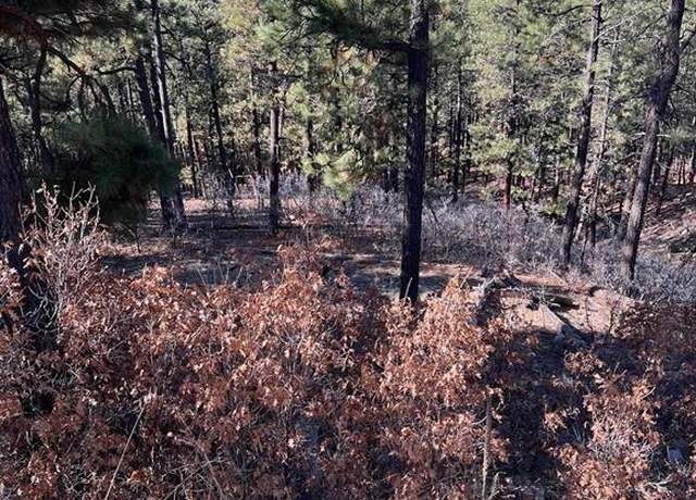Property at 238 Deer Ridge Dr, Bayfield, CO 81122