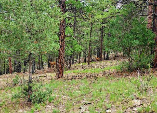 Property at 0253 Aspen Cir, South Fork, CO 81154