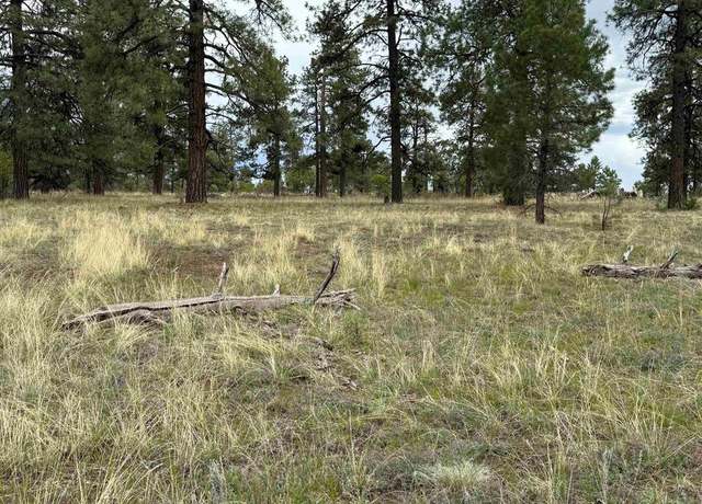 Property at 1343B Wheeler Pl, Pagosa Springs, CO 81147
