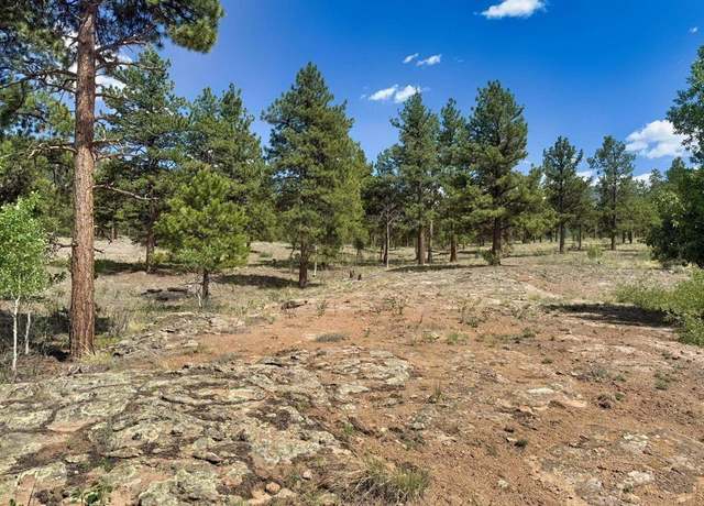 Property at 22 Church Creek Cir, South Fork, CO 81154