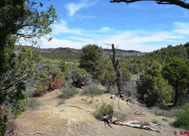 Property at 1479 La Posta Canyon Rd, Durango, CO 81303