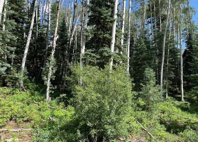 Property at 158 Engineer Dr, Durango, CO 81301
