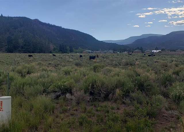 Property at 173 Willow Park Dr, South Fork, CO 81154