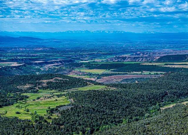 Property at TBD San Juan Vista Rd, Cedaredge, CO 81413
