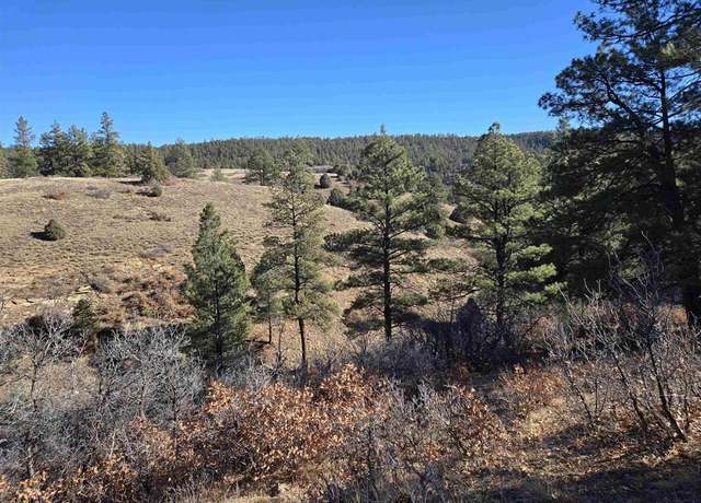 Property at X County 359 Rd, Pagosa Springs, CO 81147