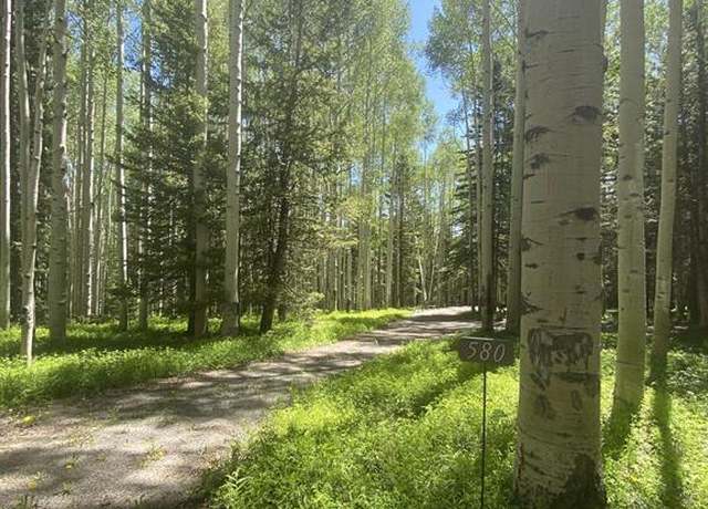 Property at 580 Columbine Dr, Cimarron, CO 81220