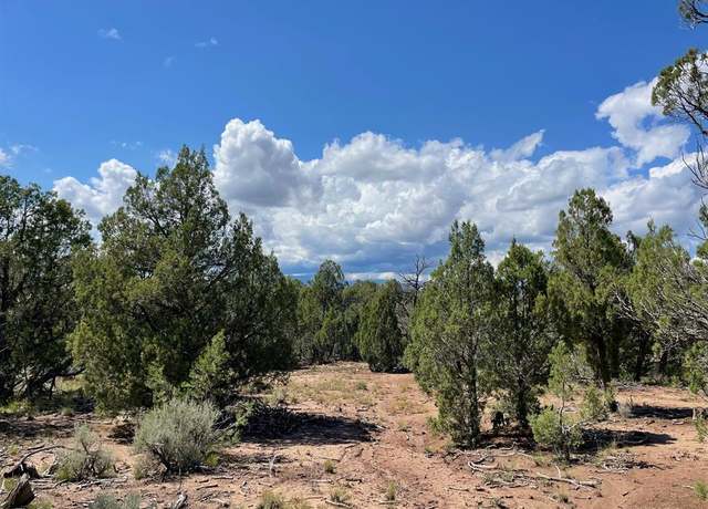 Property at 232 Rawhide Rd, Durango, CO 81303