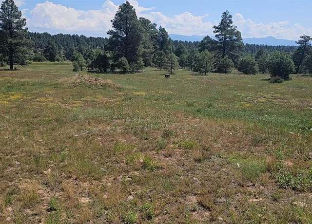 Property at 567 Sam Houston, Pagosa Springs, CO 81147