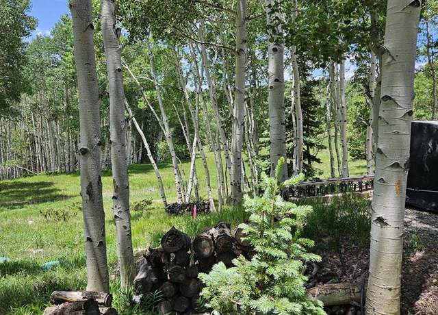 Property at 1255 Spruce Rd, Cimarron, CO 81220