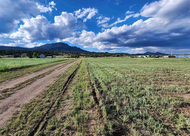 Property at 84 Orondoa Rd, South Fork, CO 81154