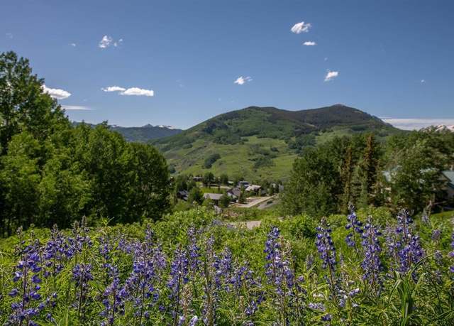 Property at 92 Anthracite Rd, Mt. Crested Butte, CO 81225