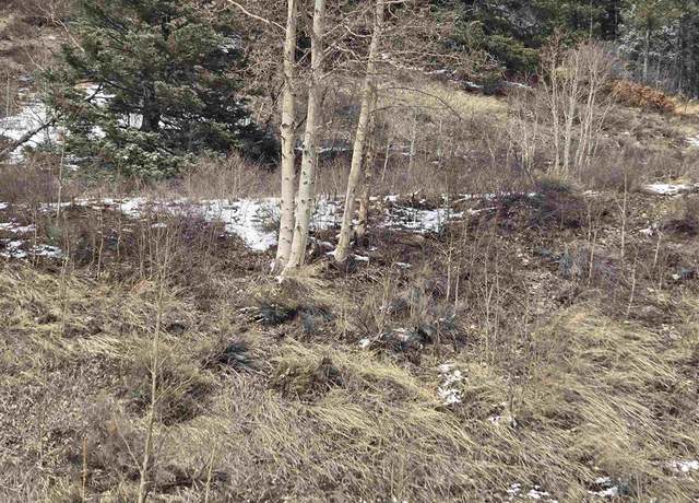 Property at SDCR Unit R2 Balleroy, Fort  Garland, CO 81133
