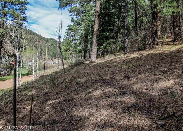 Property at 438 Bear Creek Cir, Bayfield, CO 81122