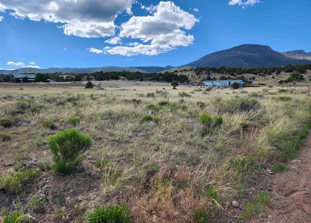 Property at 1275 Mohee Rd, South Fork, CO 81154