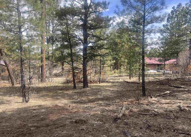 Property at 822 Hills Cir, Pagosa Springs, CO 81147