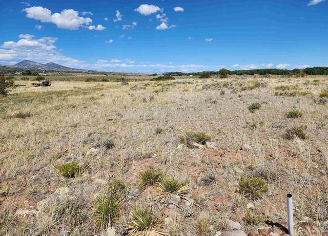 Property at 197 Pink Cloud Rd, South Fork, CO 81154