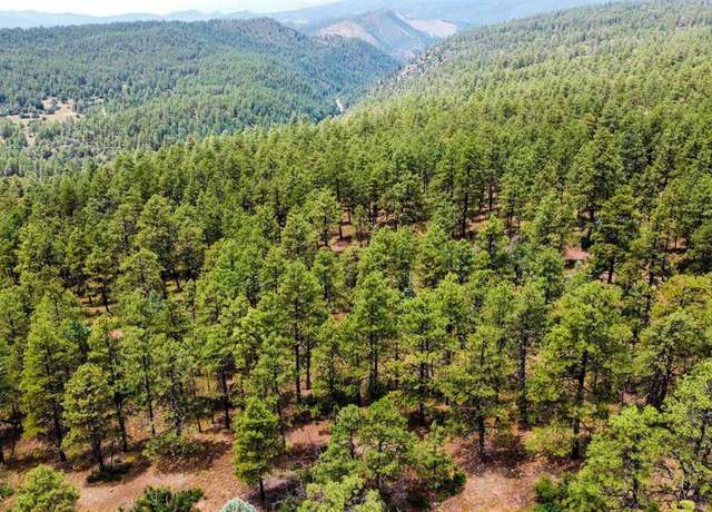Property at 160 Far Vw, Pagosa Springs, CO 81147