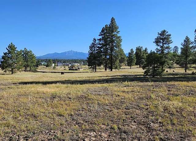 Property at 1570 Cool Pnes, Pagosa Springs, CO 81147