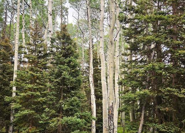 Property at 390 Rim Rd, Cimarron, CO 81220
