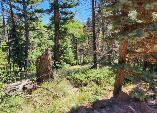 Property at 2384 Larry Place Pl, Fort  Garland, CO 81133