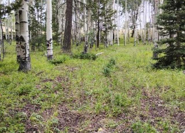 Property at 770 Ponderosa Way, Cimarron, CO 81220