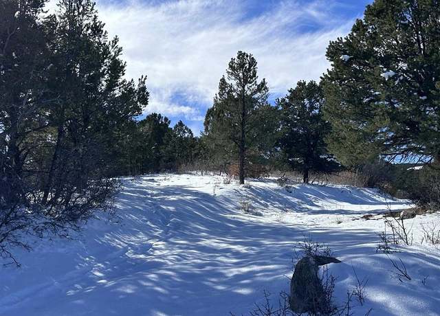 Property at TBD Lot 4 Pointe Escape Way, Ridgway, CO 81432