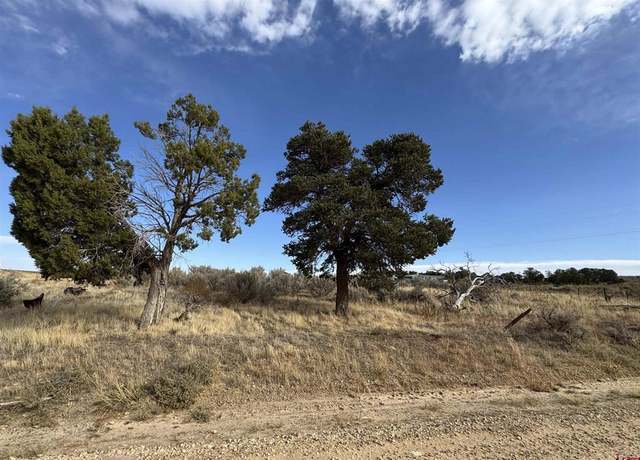 Property at 12040 Road N, Cahone, CO 81320