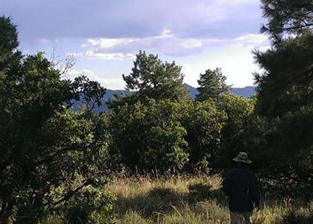 Property at 43 Butzke Ct, Pagosa Springs, CO 81147