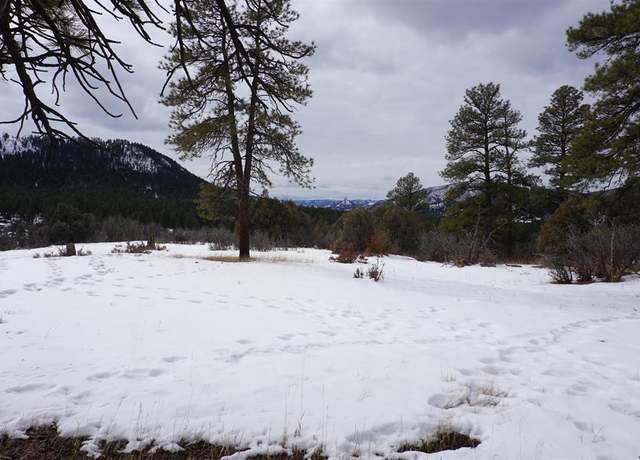Property at 941 975,995 & 1027 Hurt Dr, Pagosa Springs, CO 81147