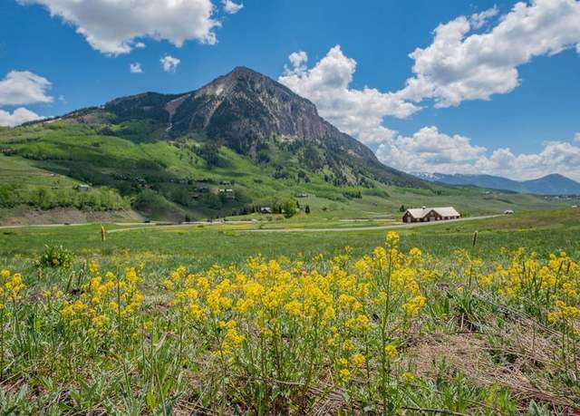 Property at 375 Saddle Ridge Ranch Rd, Crested Butte, CO 81224
