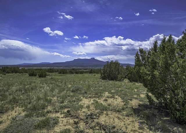Property at TBD County Rd 71.1, Trinidad, CO 81082