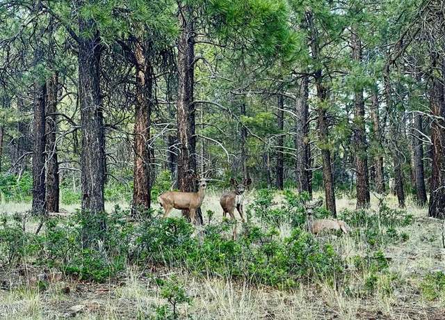 Property at 1523 West View Rd, Pagosa Springs, CO 81147