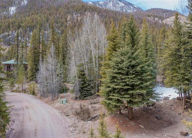 Property at 2743 Silver Coin Ln, Lake City, CO 81235