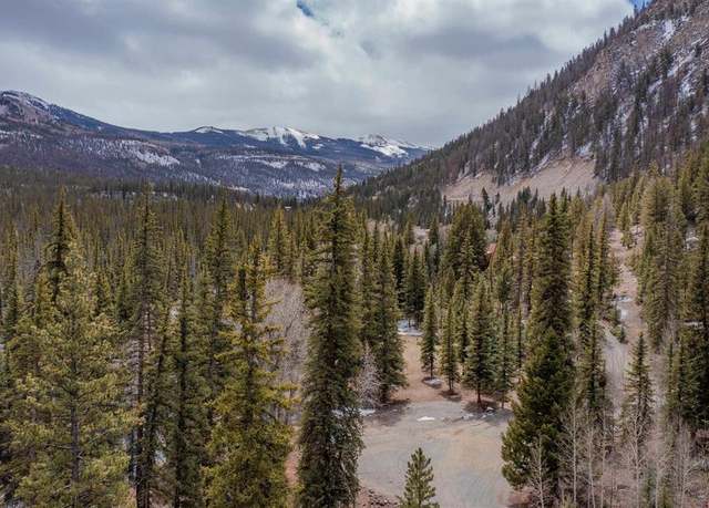Property at 2743 Silver Coin Ln, Lake City, CO 81235