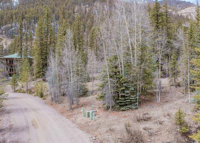 Property at 2743 Silver Coin Ln, Lake City, CO 81235