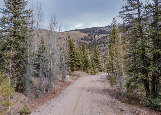 Property at 2743 Silver Coin Ln, Lake City, CO 81235