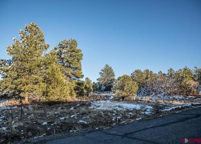 Property at TBD N Badger Trl, Ridgway, CO 81432