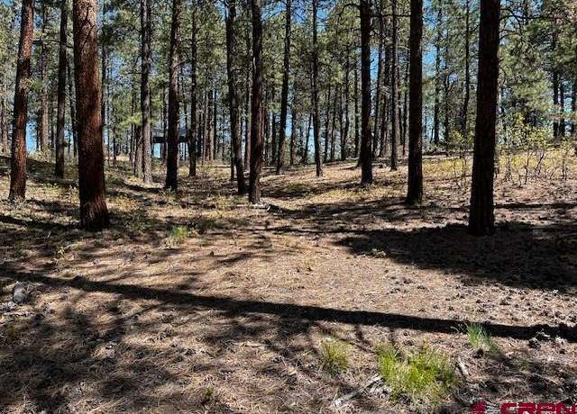 Property at 221 Badger Rd, Bayfield, CO 81122
