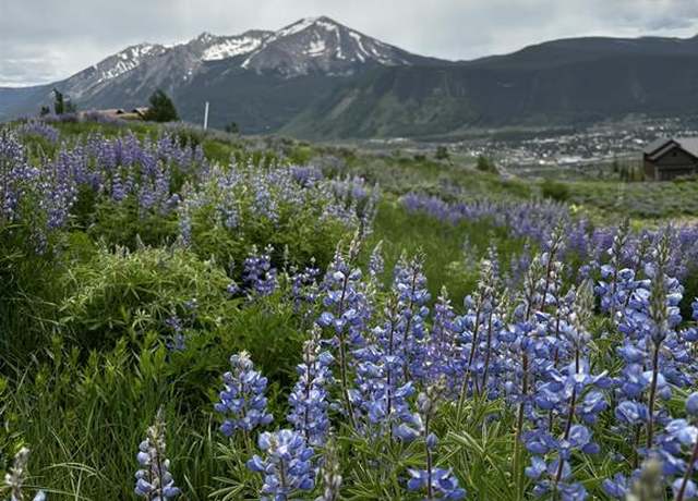 Property at 57 Summit Rd, Mt. Crested Butte, CO 81225