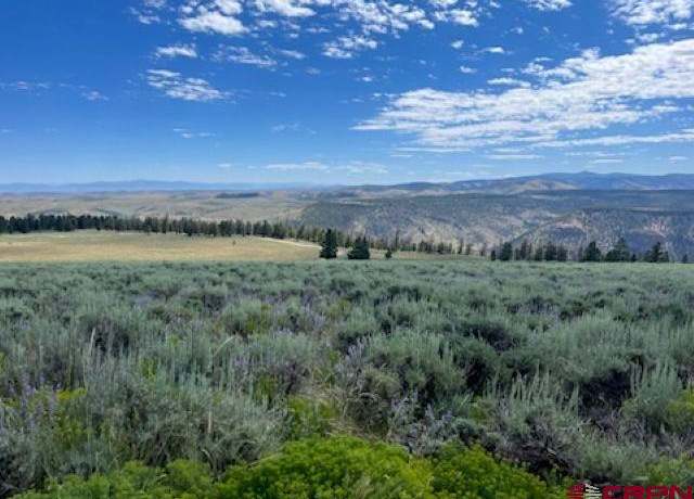 Property at 924 Cinnamon Trl, Powderhorn, CO 81243