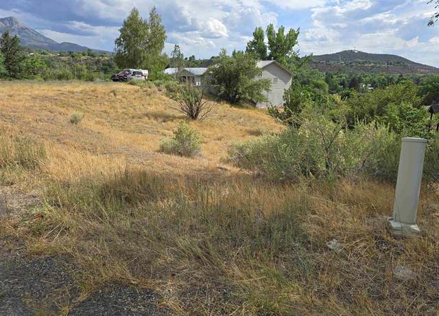 Property at 36 Box Elder Dr, Paonia, CO 81428