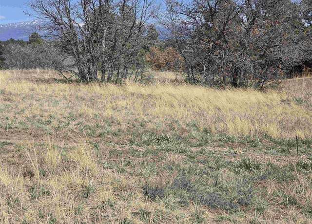Property at 1151 Trails Blvd, Pagosa Springs, CO 81147