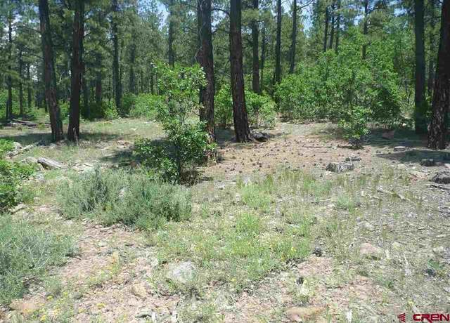 Property at 966 Starling Cir, Pagosa Springs, CO 81147
