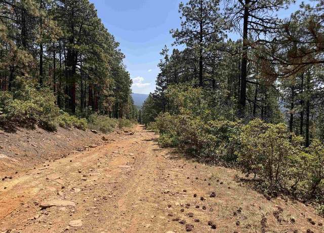 Property at TBD Unit 3 Forest Lks, Bayfield, CO 81122