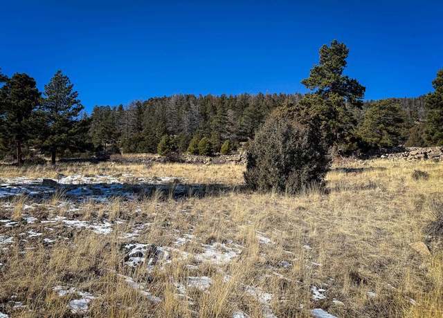 Property at 0 Ellingwood Dr, South Fork, CO 81154
