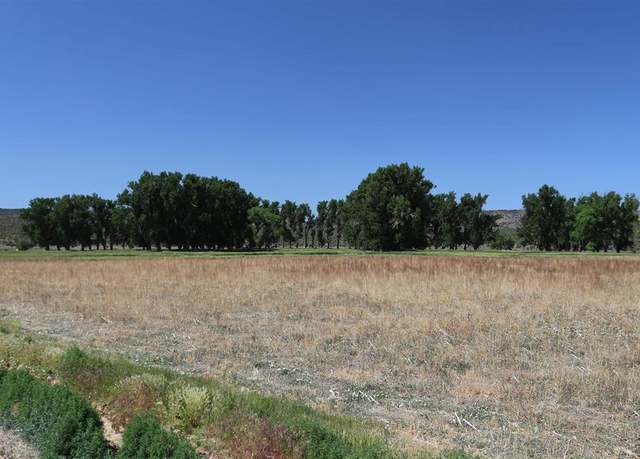 Property at TBD Shavano Valley Rd, Montrose, CO 81401