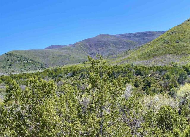 Property at TBD County Road 306, Parachute, CO 81635